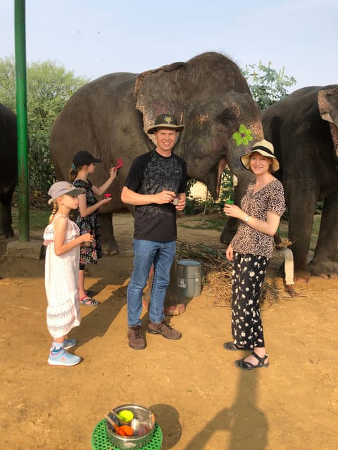 Jaipur: Elephant Interaction Tour - Who should book this experience?