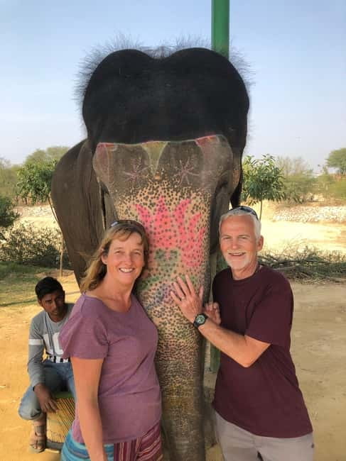 Jaipur: Elephant Interaction Tour - A gentle alternative to an elephant ride