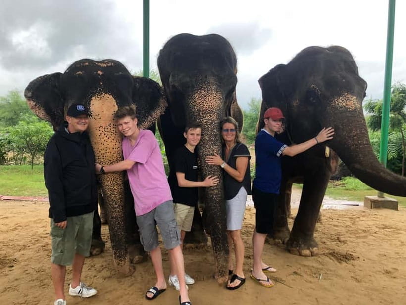 Jaipur: Elephant Interaction Tour - How much value do you get for $58?