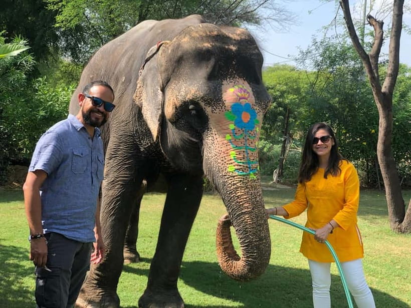 Jaipur: Elephant Interaction Tour - From Jaipur pickup to the elephant village