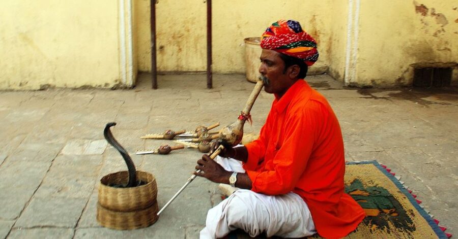 Jaipur: Full-Day Private City Tour by Car with Guide - City Palace: Jaipur’s royal starting point