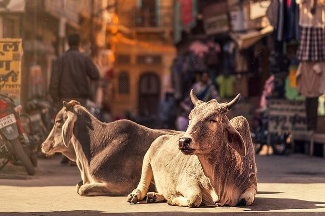 Jaipur Full Day Tour By Car And Guide With Hotel Pickup - Jal Mahal is a short photo stop
