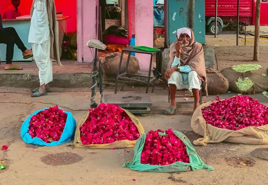 Jaipur: Half-Day Guided Sightseeing Tour with Flower Market - Why the 7:00 AM flower market matters