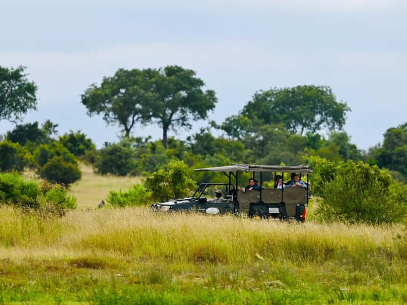 Jaipur: Jhalana Amagarh Leopard Reserve 4×4 Jeep Safari - Why Jhalana Is an Unusual Jaipur Excursion