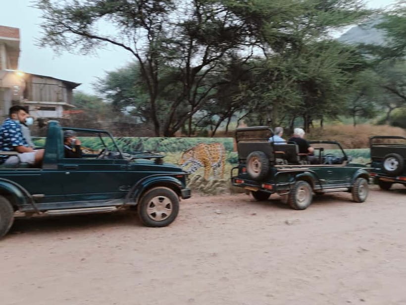Jaipur: Jhalana Amagarh Leopard Reserve 4×4 Jeep Safari - Morning or Sunset: Choose With Care