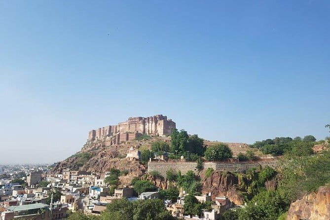 Jaipur Pink City Tour by Car or Tuk-Tuk - Lunch and the Pink City bring color and street life