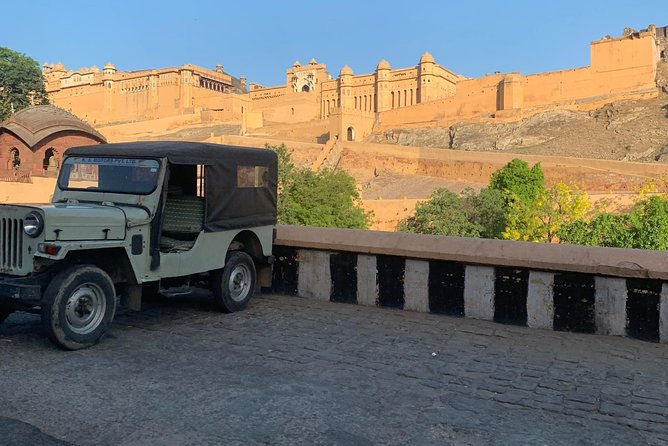 Jaipur Sightseeing By Car, Driver and Guide - Albert Hall Museum as a final photo stop