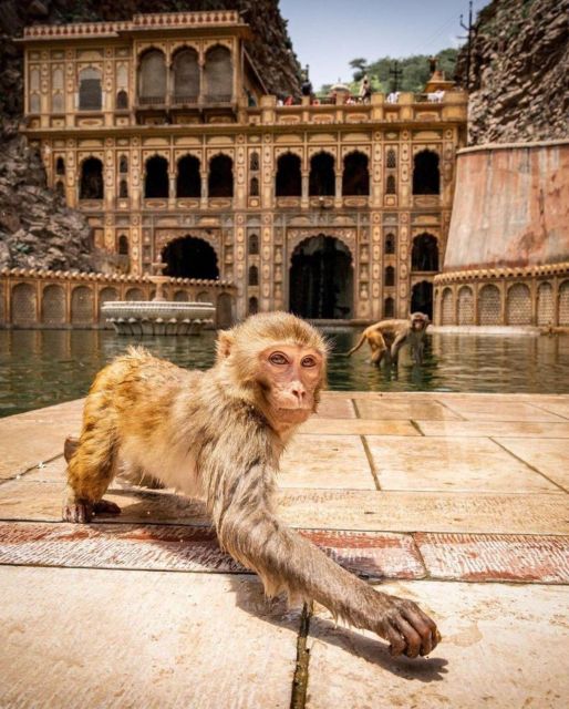 Jaipur sightseeing tour with monkey temple (Galta ji temple) - Amber Fort: Jaipur’s Grand First Stop