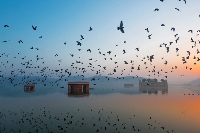 Jaipur Sunrise Tour with Morning Flower Market Walk - Jal Mahal In The First Light
