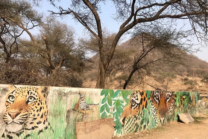 Jaipur to Jhalana Leopard reserve Private Day Trip All Inclusive - Why Jhalana works as a Jaipur side trip
