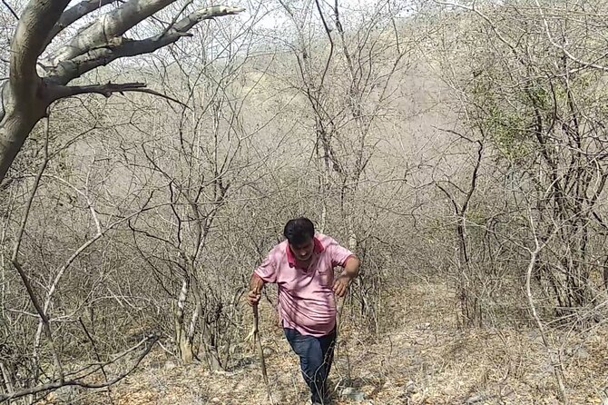 Jaipur Trekking and Hiking Tour with Guide - Reaching the Nahargarh Fort area