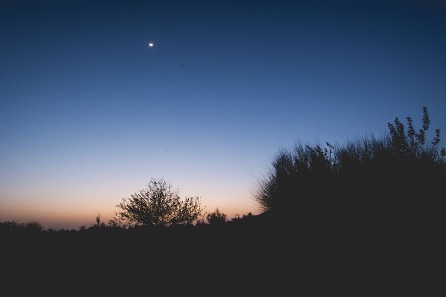 Jaisalmer: 2-Day Thar Desert Experience - Key points before you book