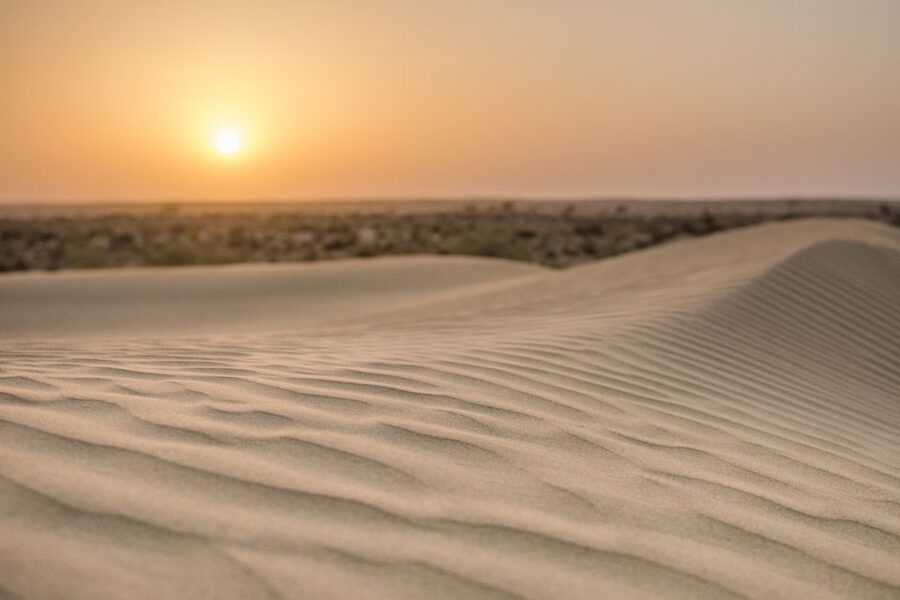 Jaisalmer: 2-Day Thar Desert Experience - Sunset, tea, and a desert dinner