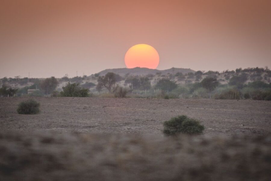 Jaisalmer: 2-Day Thar Desert Experience - Choosing between open-air camping and a luxury tent