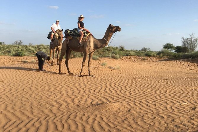 Jodhpur Camel Safari & Jeep Safari In Desert Jodhpur SR - Osian and the Sachhai Mata Temple