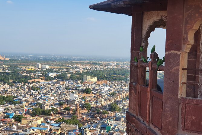 Jodhpur City Tour - Umaid Bhawan Museum: Royal Residence and Vintage Cars