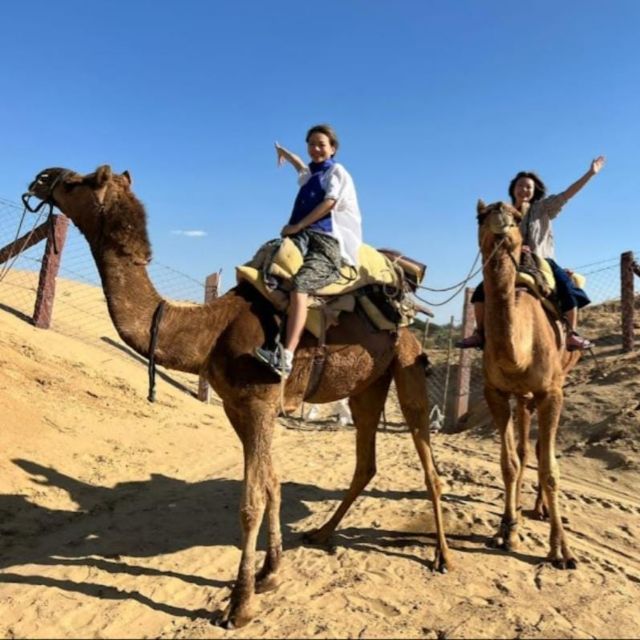 Jodhpur: Desert Camel and Jeep Safari with Traditional Food - Key Points to Know Before You Book