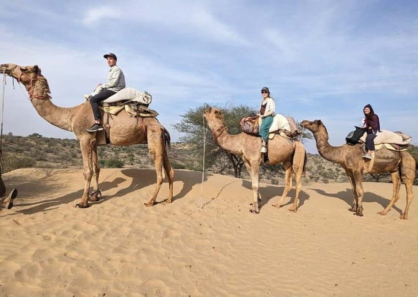 Jodhpur: Overnight Stay in Desert with Camel Safari - Key points to know before booking