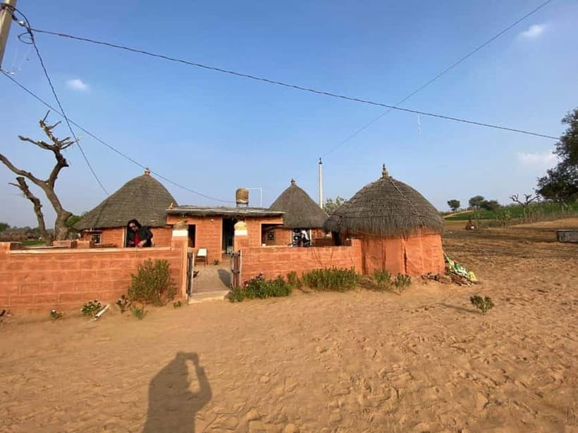 Jodhpur: Overnight Stay in Desert with Camel Safari - Leaving Jodhpur at 2:30 PM