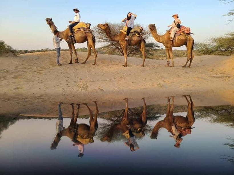 Jodhpur: Overnight Stay in Desert with Camel Safari - Dinner by the fire with the Balaji family