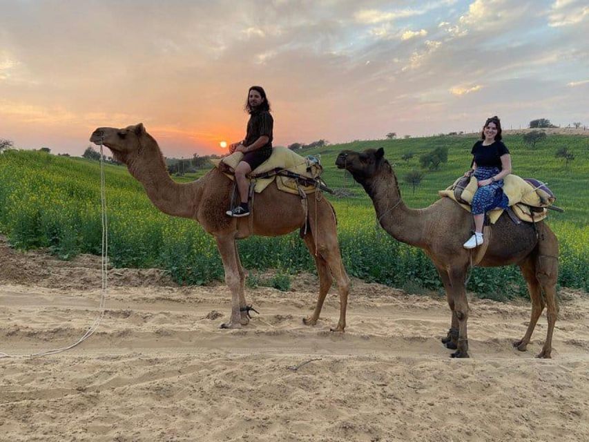 Jodhpur: Overnight Stay in Desert with Camel Safari - Sleeping under the stars or in a simple hut