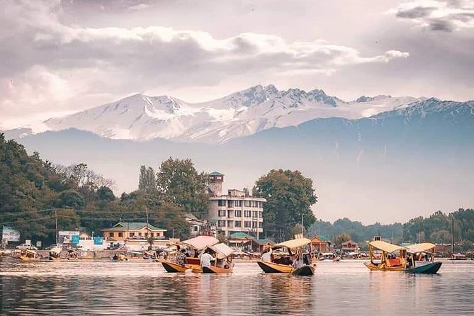 Kashmir Family Tour - 07 Days Includes Accommodation and Private Transport - Day four: choose between Chandanwari, Betaab Valley, or Baisaran