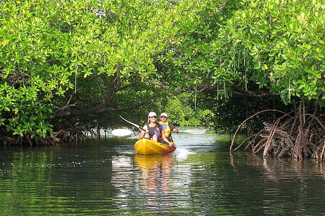 Kayaking Mangrove Adventure at Havelock - Key points to know before booking