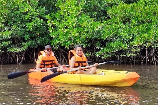 Kayaking Mangrove Adventure at Havelock - Paddling through Havelock’s mangrove channels