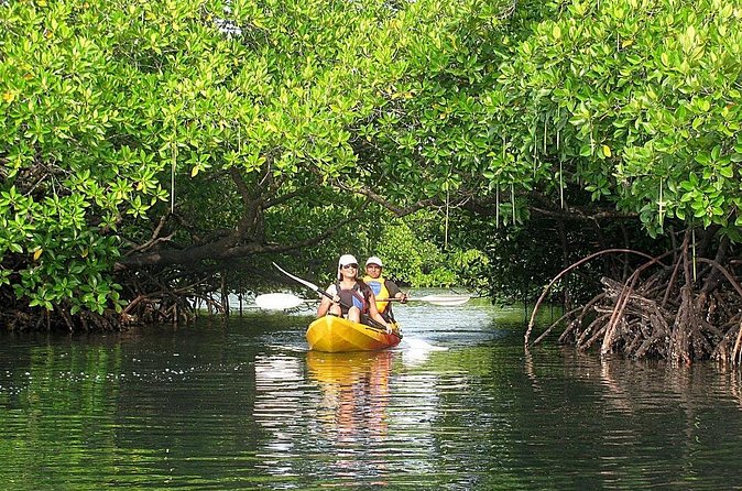 Kayaking Mangrove Adventure at Havelock - Learning the paddle before entering the mangroves