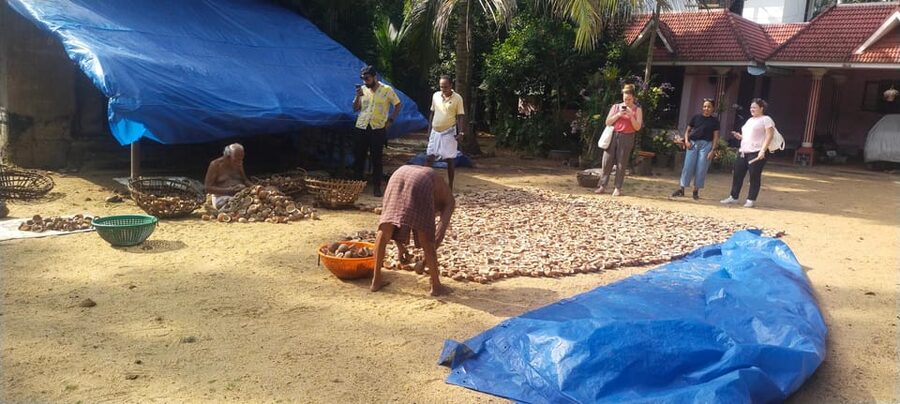 Kochi: Backwater Exploration in Village: Free Pickup & Drop - Is $63 a good value?