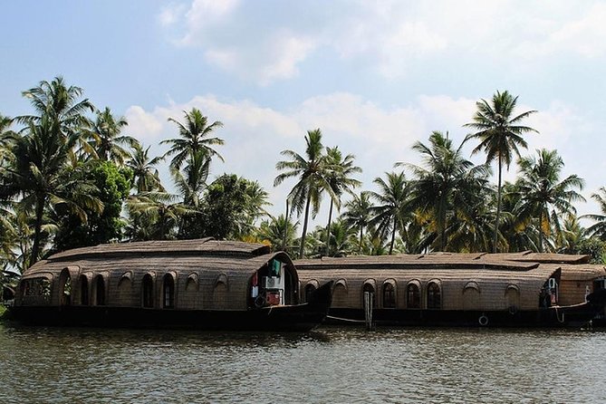 Kochi Private Tour: Kerala Backwater Houseboat Day Cruise in Aleppey - Why Alappuzha makes a good day trip from Kochi