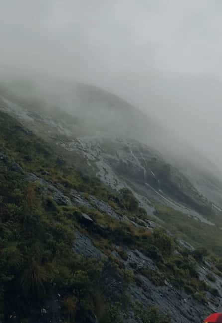 Kochi to Munnar: Eravikulam, lockhart & Waterfalls day tour - A long road from Kochi to Munnar