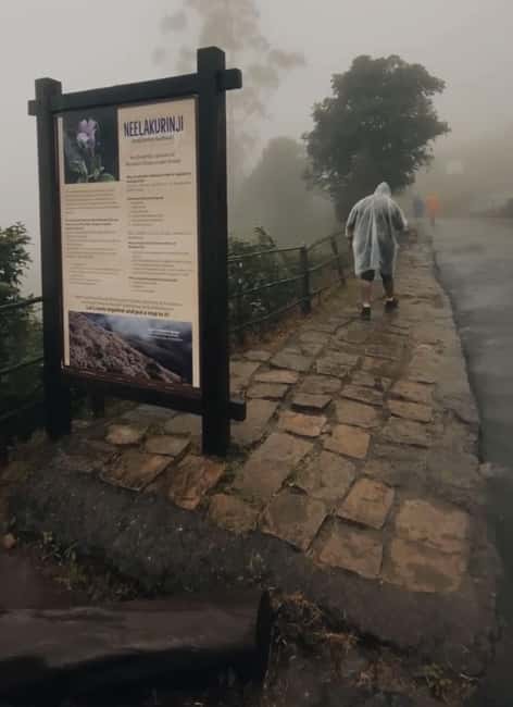Kochi to Munnar: Eravikulam, lockhart & Waterfalls day tour - Three hours at Eravikulam National Park