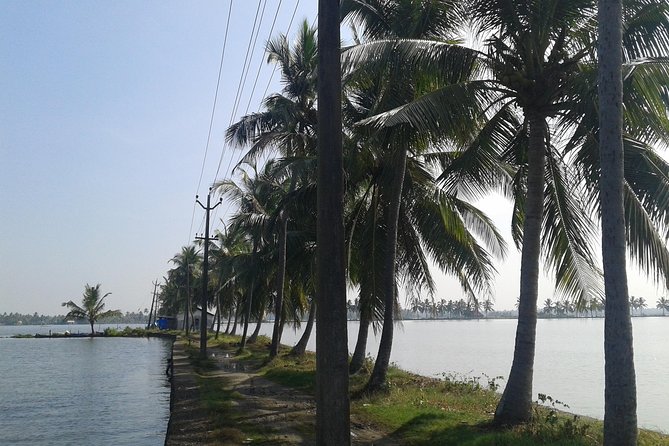 Kochi Village Life Experience tour - The Real Tour of Kochi ! - Key Points Before You Book
