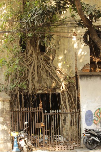 Kolkata: A Sea of Faces and A Thousand Places - Revolution, Old Mansions, and a Yellow Taxi