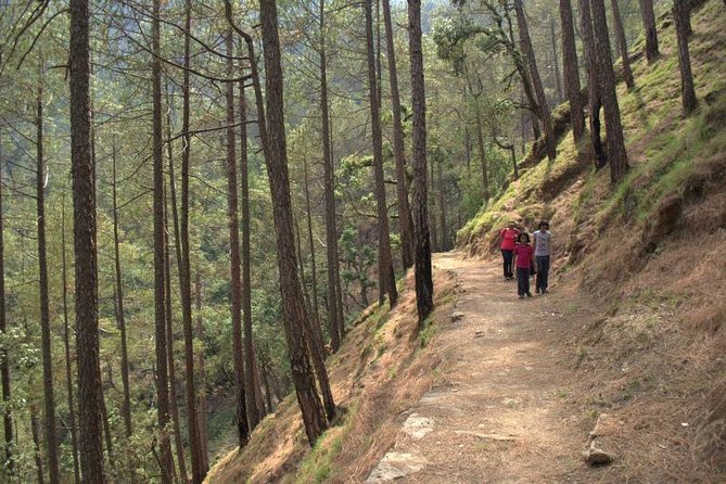 Kumaon/Binsar Sanctuary Walking Holiday - Day 2: Sunrise at the village temple and Binsar forest