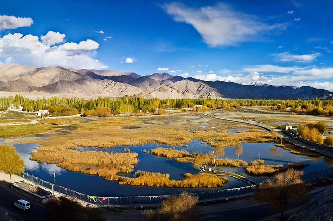Ladakh 5-Star Premium Tour 7 Days - Key Points to Know Before Booking