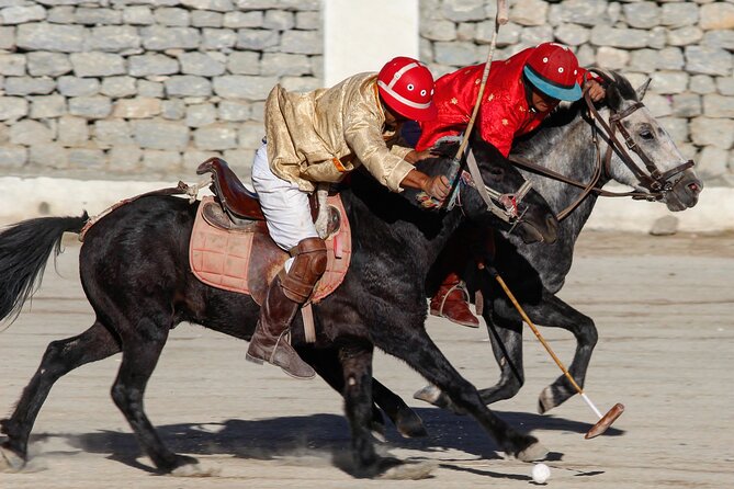 Ladakh 5-Star Premium Tour 7 Days - The First Day in Leh Is About Breathing Slowly