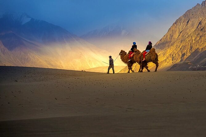 Ladakh Private Tours - Day 5: Nubra to Pangong through Shyok