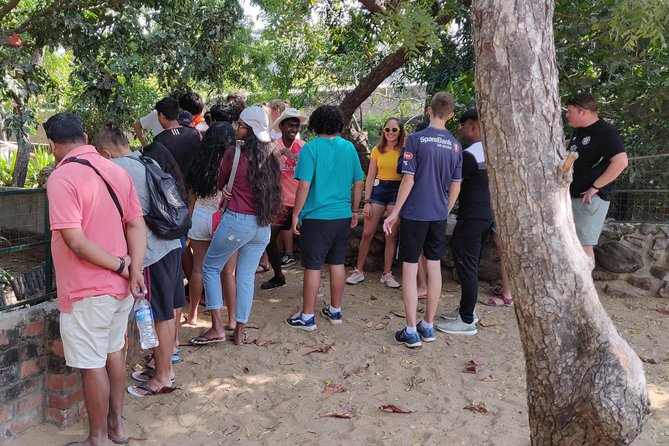 Mahabalipuram walking tour by certified travel company - Pancha Pandava Cave and Mahishasuramardini Cave
