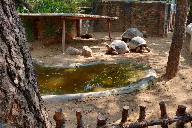 Mahabalipuram walking tour by certified travel company - Ganesh Ratha, a temple cut from one stone