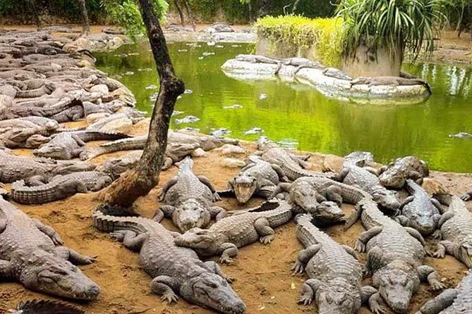 Mahabalipuram walking tour by certified travel company - Pancha Rathas and the Pallava experiment in stone