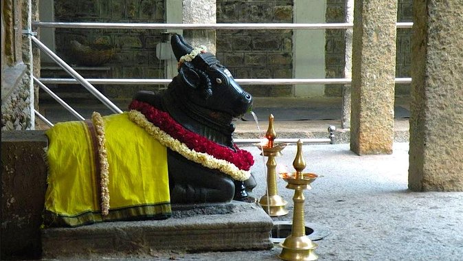 Malleswaram heritage walk, an immersive walking tour in Bangalore - Breakfast at an old Malleswaram eatery