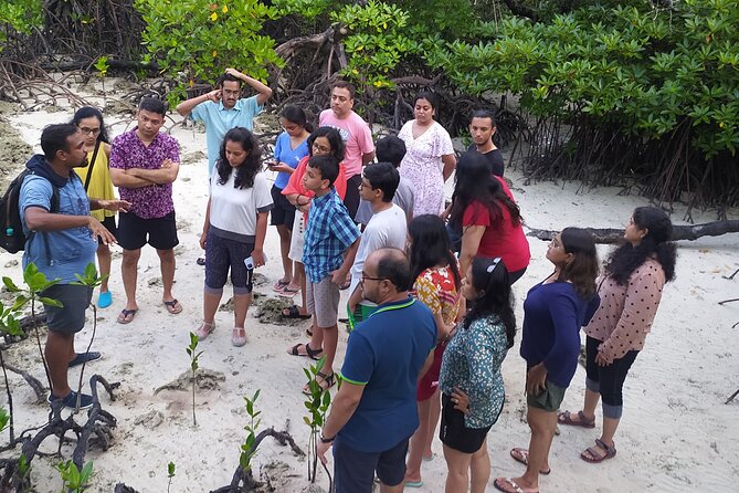 Marine Trail - Starting with Havelock’s low-tide world