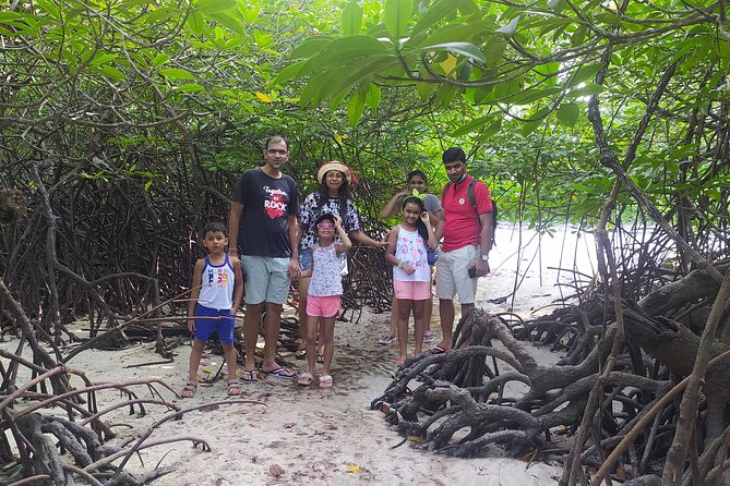Marine Trail - Walking through mangroves, seagrass, and coral