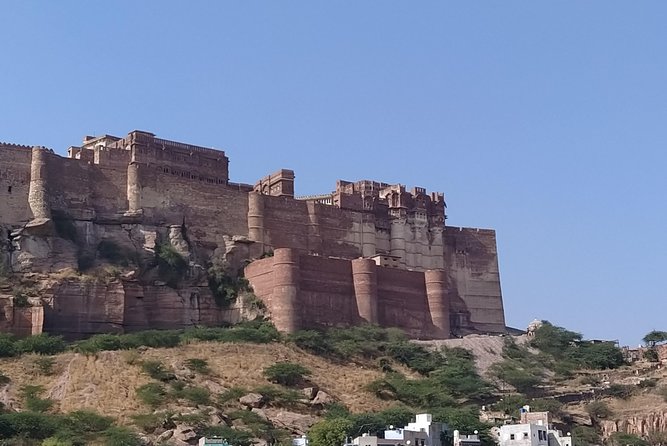 Mehrangarh Fort and Blue City Historic Tour with Local Guide - What the $35 price really buys you