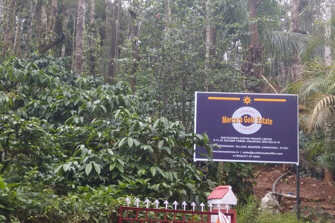 Mercara Gold Coorg Coffee and Spice Estate Tour - Why this Coorg coffee tour is worth your morning