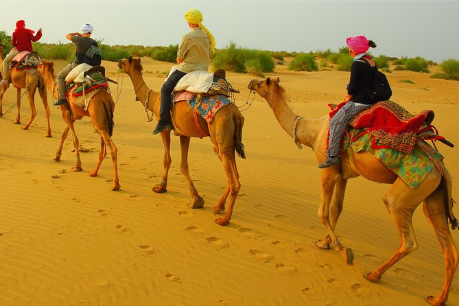 Midnight Mirage Experience (Non Touristic) - Key Details Before You Book