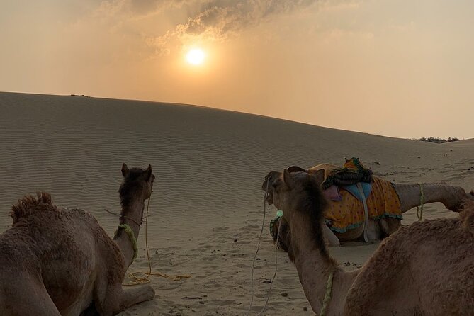 Midnight Mirage Experience (Non Touristic) - A One-Hour Jeep Ride Into Empty Sand