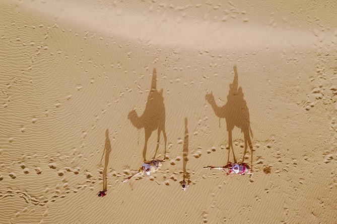 Million Stars Experience - Desert Camp & Stargazing in Jaisalmer - From Jaisalmer at 2:30 pm to the open desert